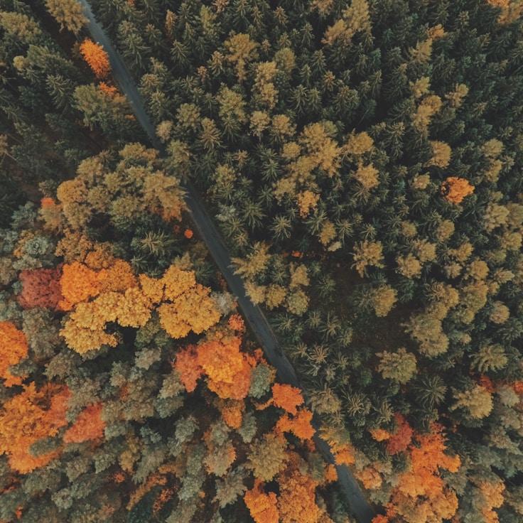 Low-impact nature route